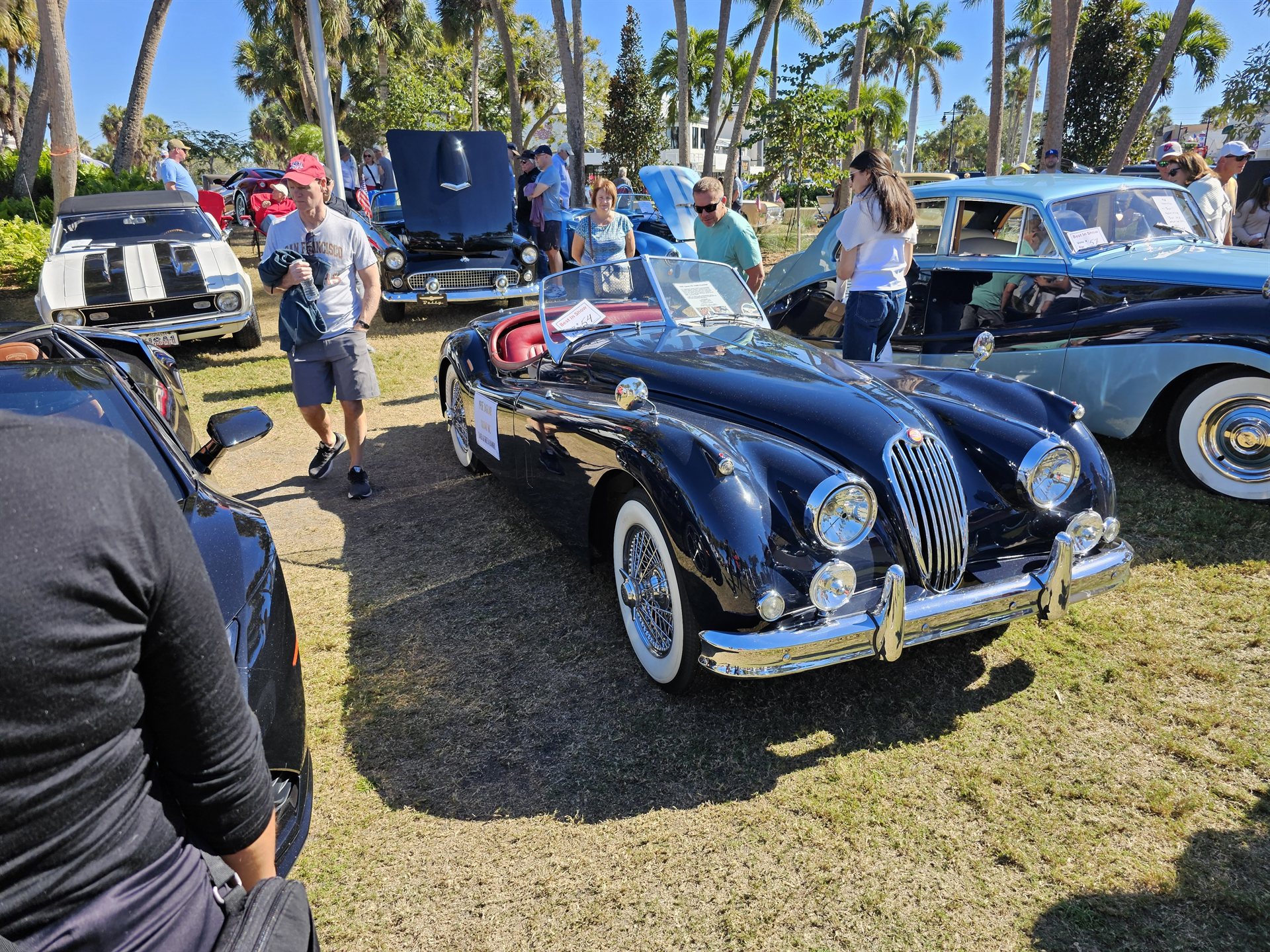 Jaguar